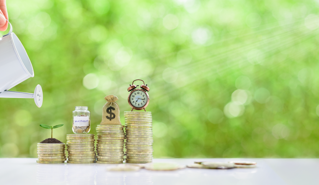 Investment Essentials: Understanding Different Investment Vehicles